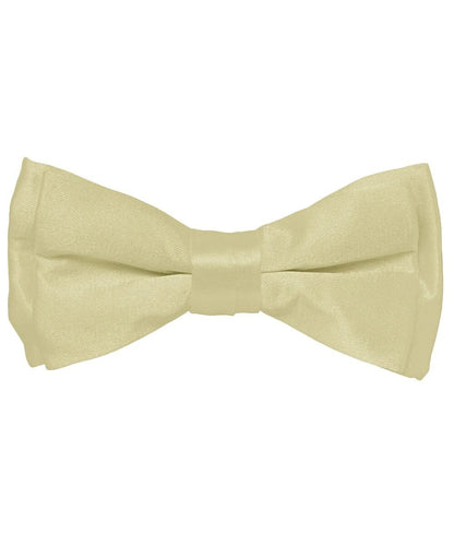 Vittorio Farina Boy's Pretied Solid Silky Satin Bow Tie - Ivory - Boyswear - Vittorio Farina