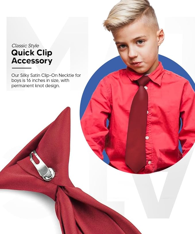 Vittorio Farina Boy's Satin Clip Necktie - Burgundy - Boyswear - Vittorio Farina