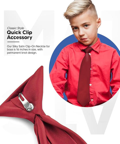 Vittorio Farina Boy's Satin Clip Necktie - Burgundy - Boyswear - Vittorio Farina
