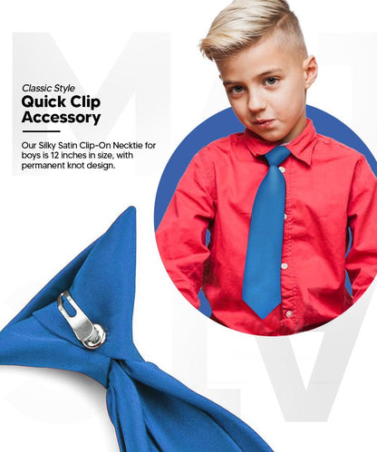 Vittorio Farina Boy's Satin Clip Necktie - Royal Blue - Boyswear - Vittorio Farina
