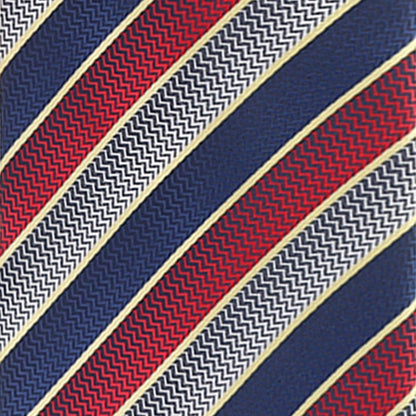 Vittorio Farina Men's Geometric Design Necktie & Pocket Square - D-1329 - Necktie & Pocket Square - Vittorio Farina