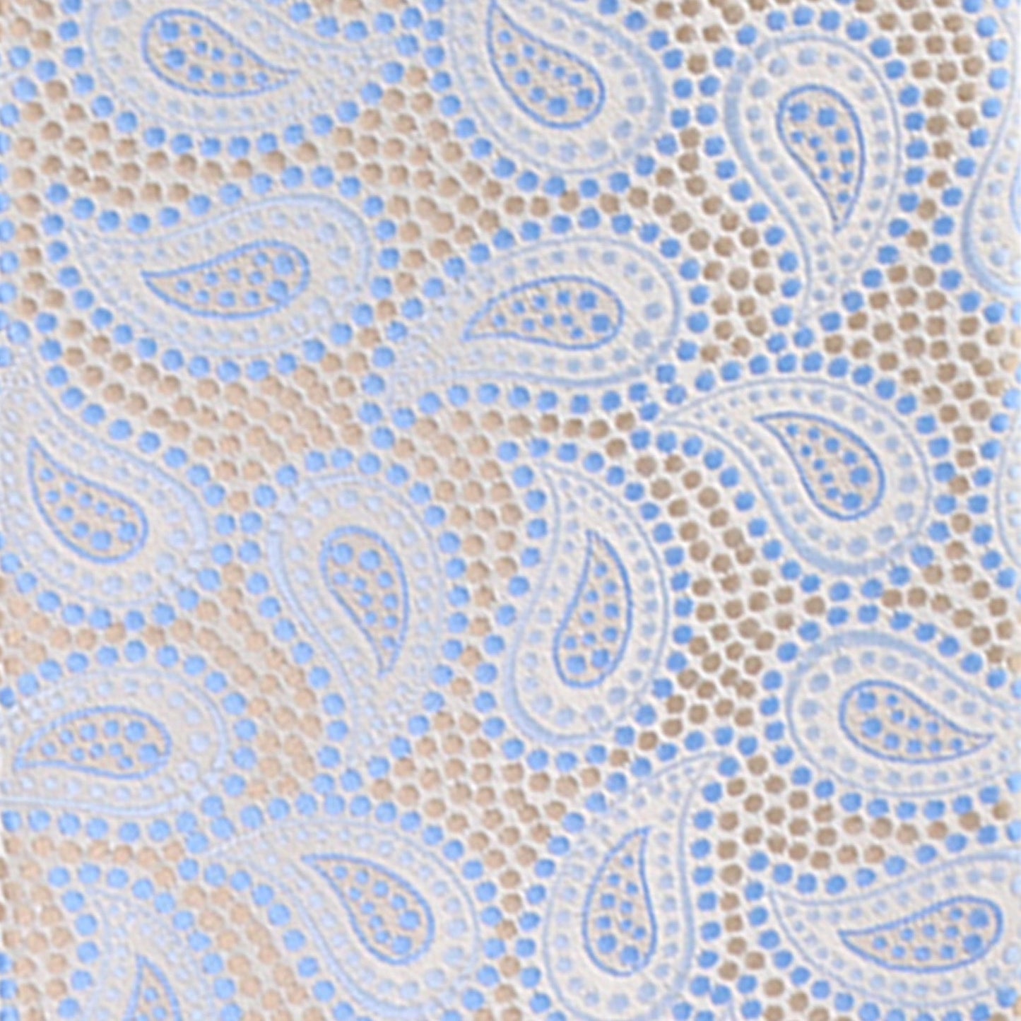 Vittorio Farina Men's Paisley Design Necktie & Pocket Square - D-1145 - Necktie & Pocket Square - Vittorio Farina