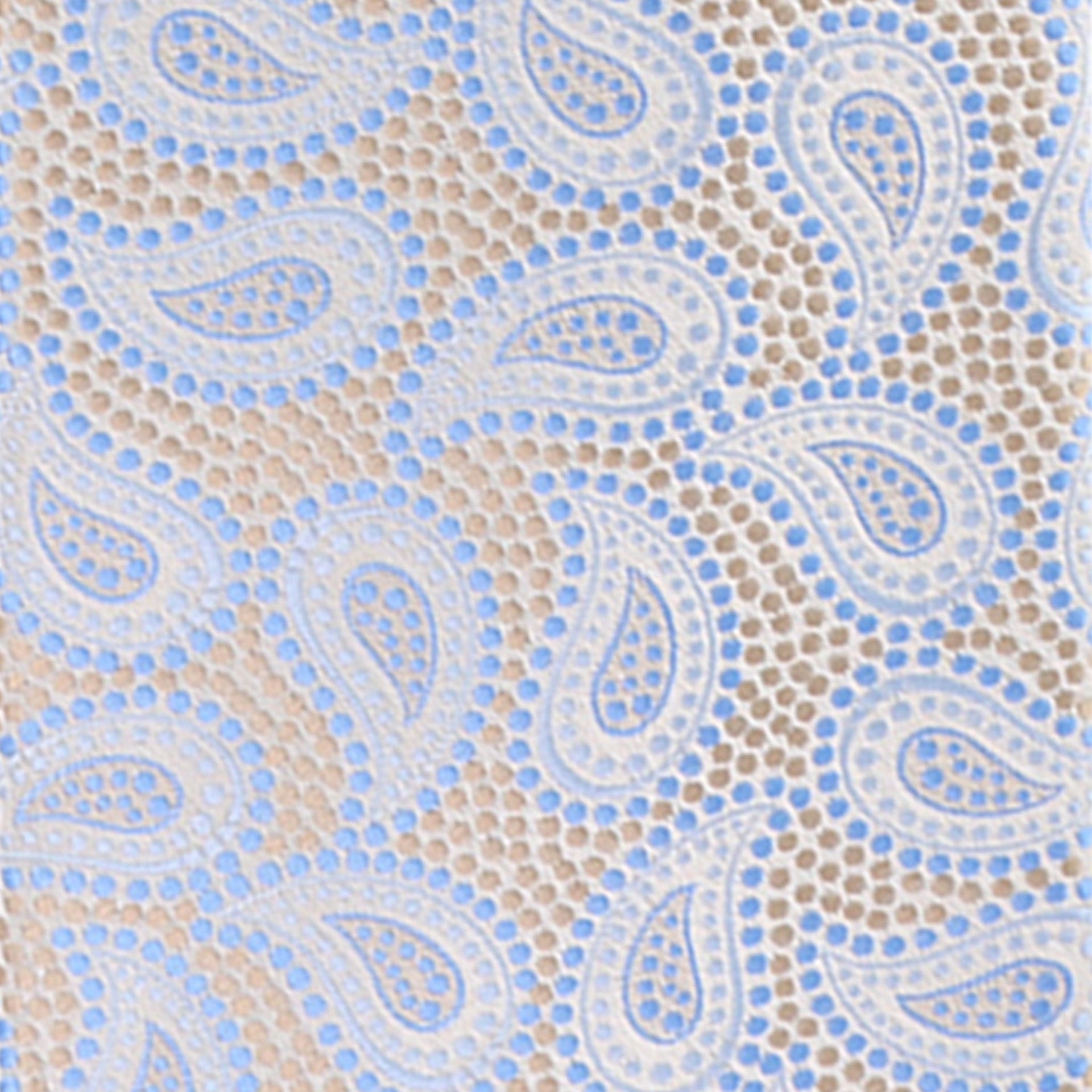 Vittorio Farina Men's Paisley Design Necktie & Pocket Square - D-1145 - Necktie & Pocket Square - Vittorio Farina