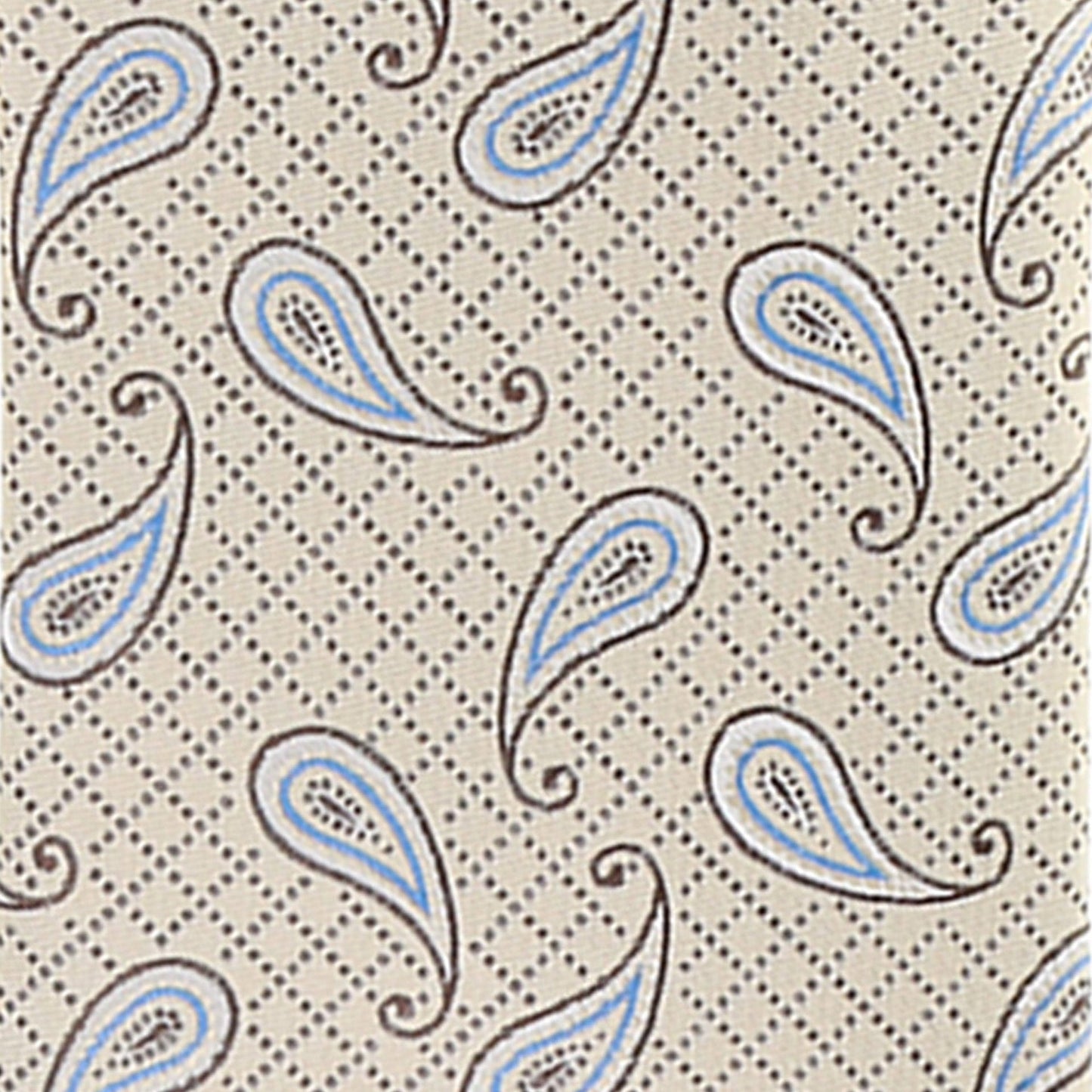 Vittorio Farina Men's Paisley Design Necktie & Pocket Square - D-1145 - Necktie & Pocket Square - Vittorio Farina