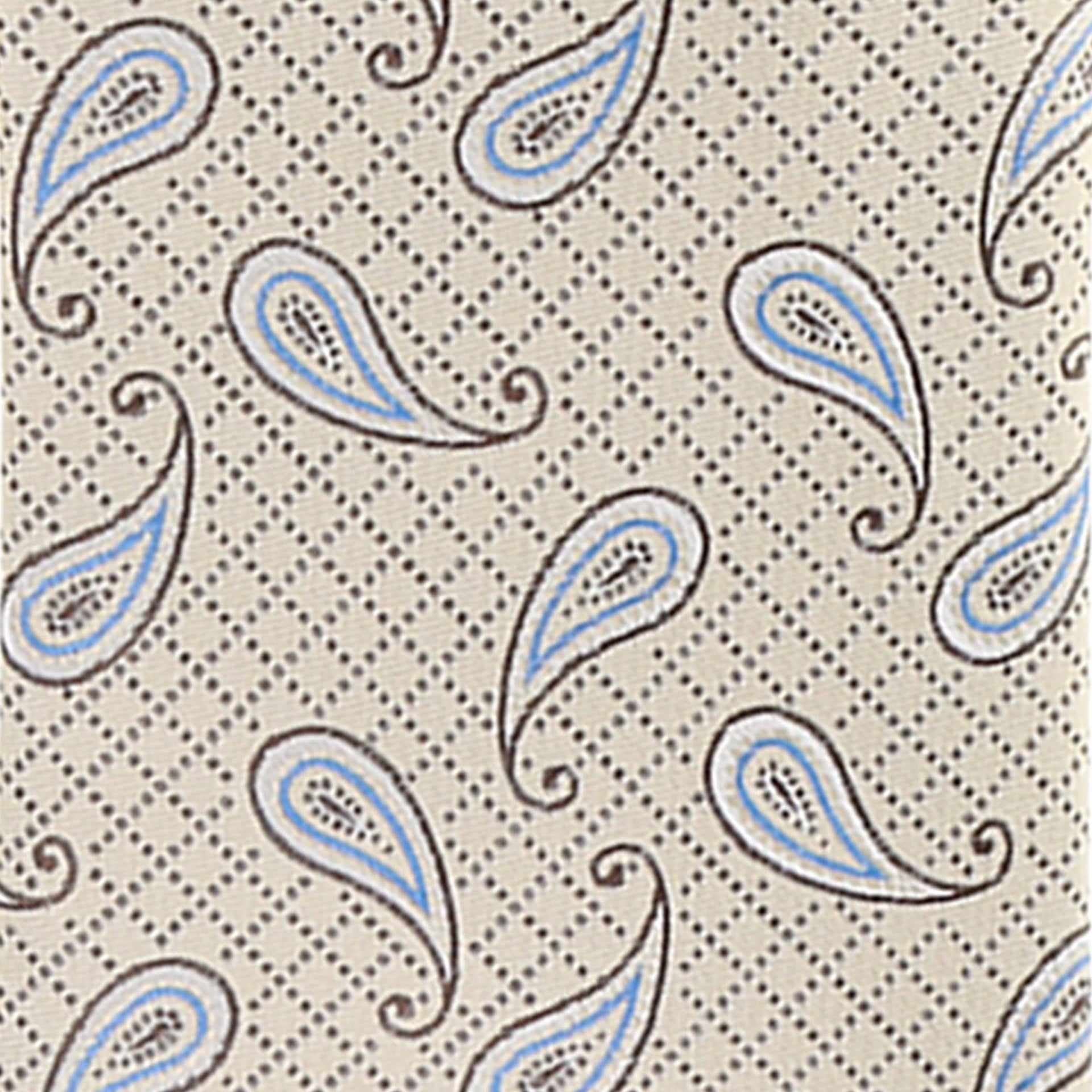 Vittorio Farina Men's Paisley Design Necktie & Pocket Square - D-1145 - Necktie & Pocket Square - Vittorio Farina