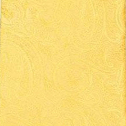 Vittorio Farina Men's Paisley Design Necktie & Pocket Square - D-1145 - Necktie & Pocket Square - Vittorio Farina