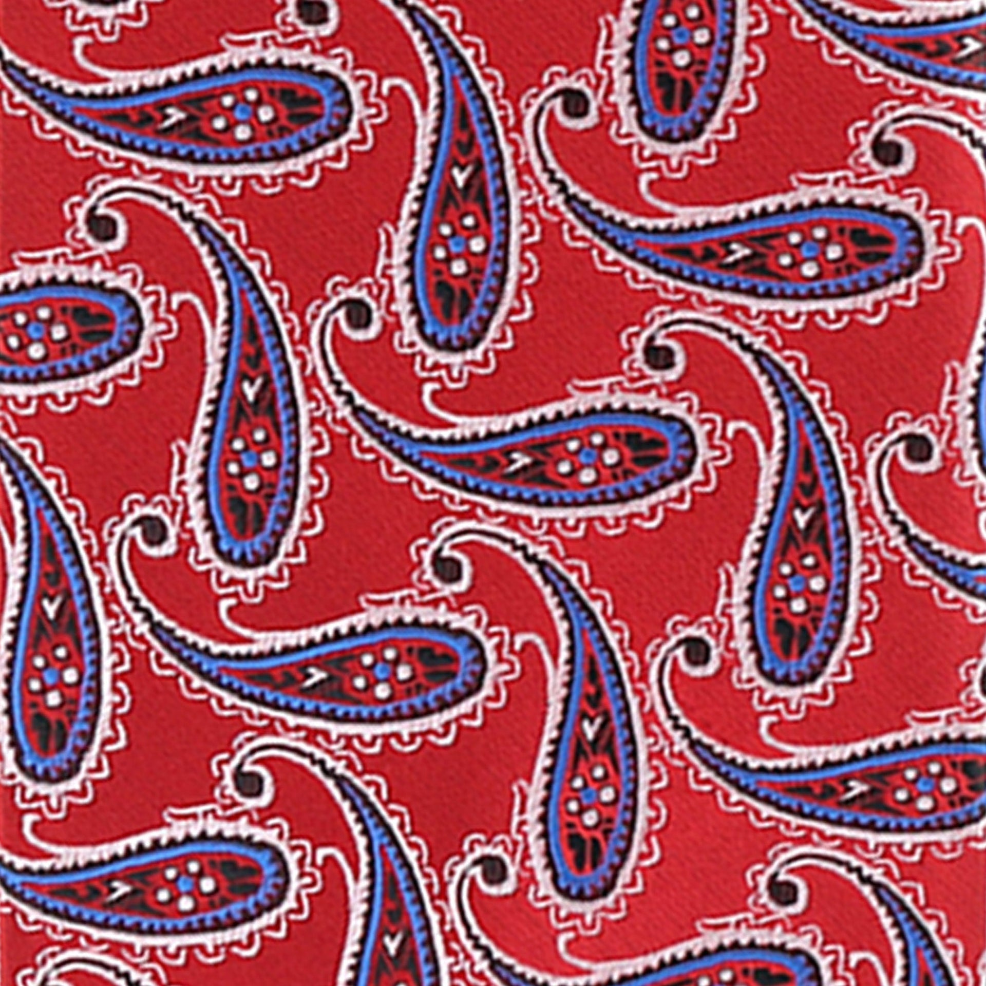 Vittorio Farina Men's Paisley Design Necktie & Pocket Square - D-1172 - Necktie & Pocket Square - Vittorio Farina