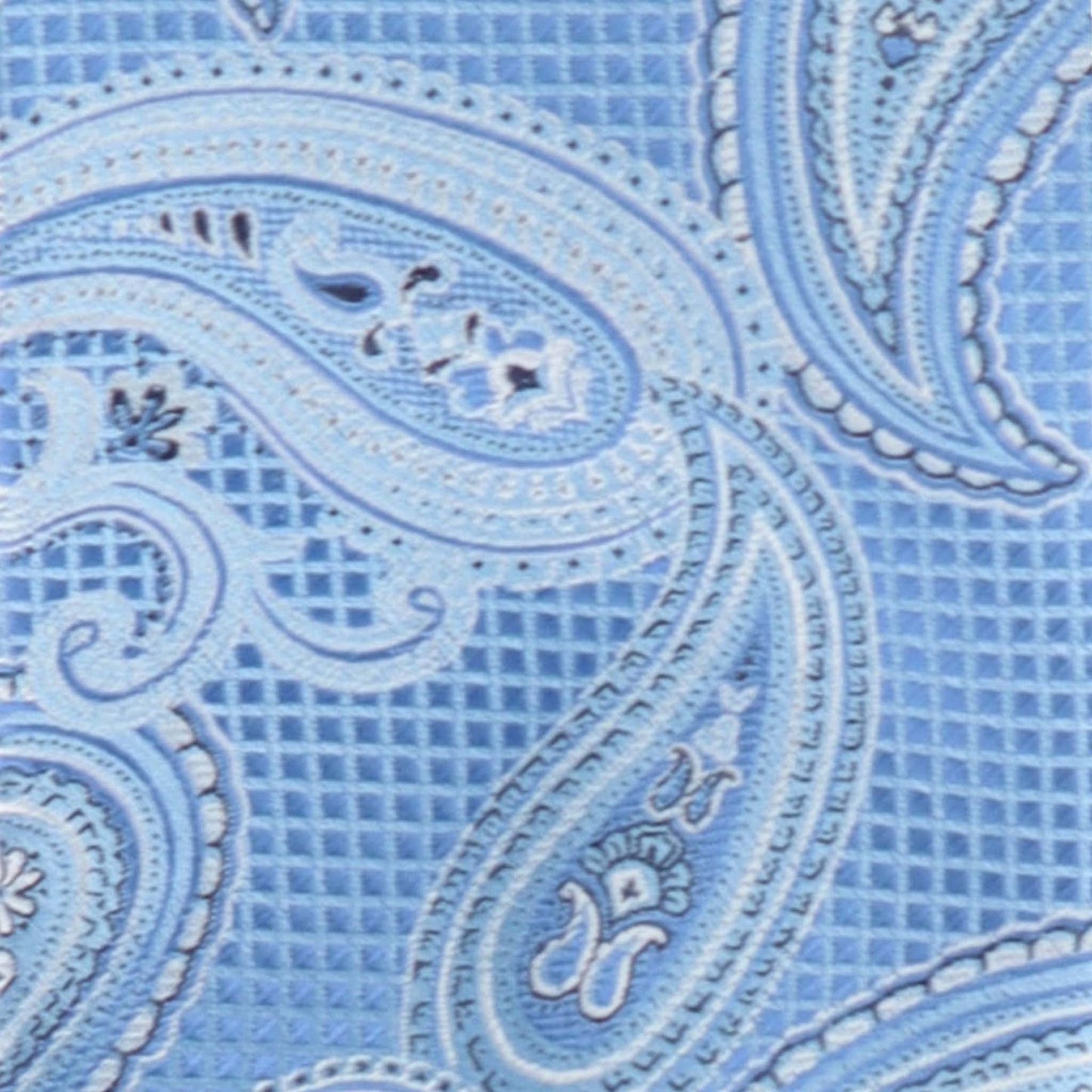 Vittorio Farina Men's Paisley Design Necktie & Pocket Square - D-1172 - Necktie & Pocket Square - Vittorio Farina