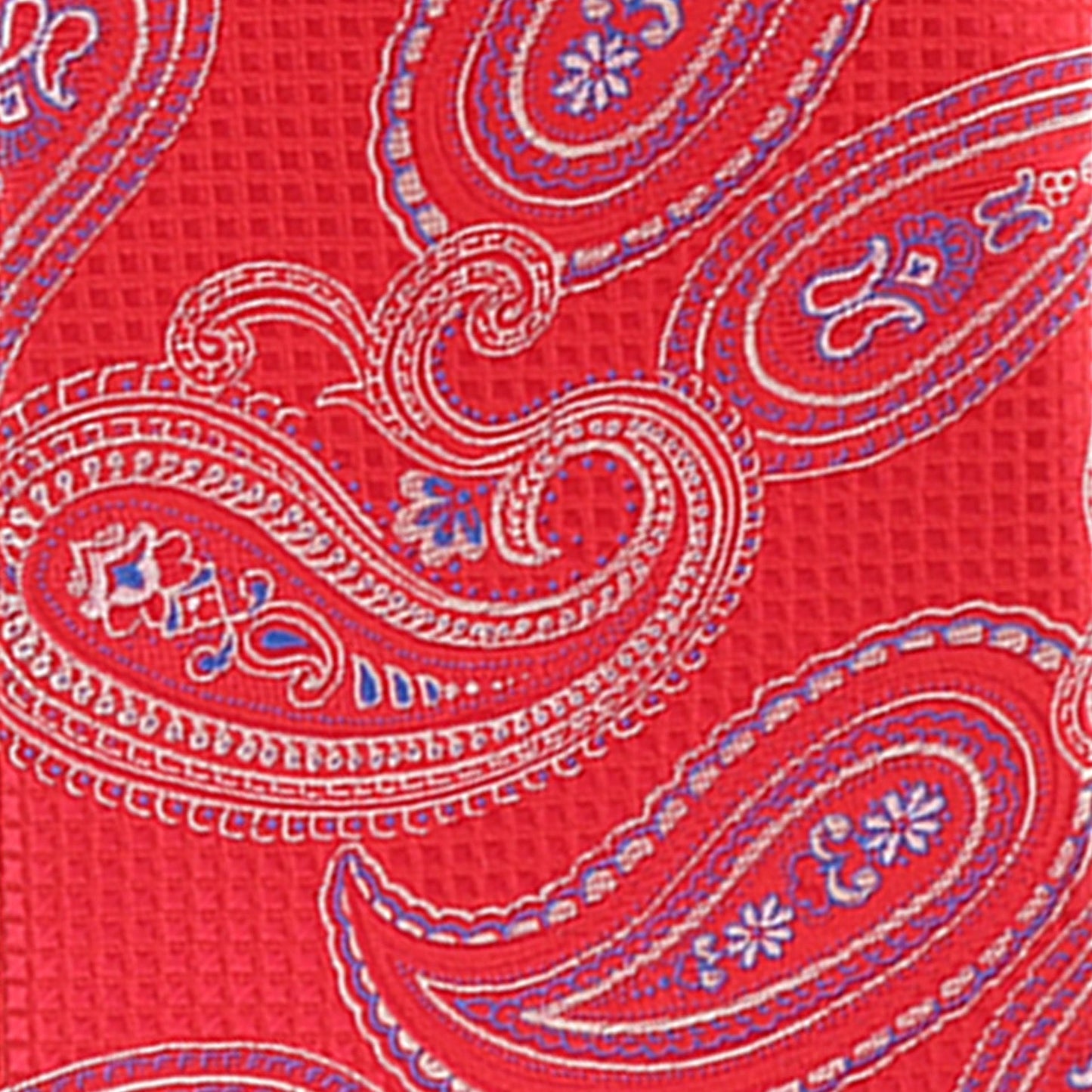 Vittorio Farina Men's Paisley Design Necktie & Pocket Square - D-1172 - Necktie & Pocket Square - Vittorio Farina