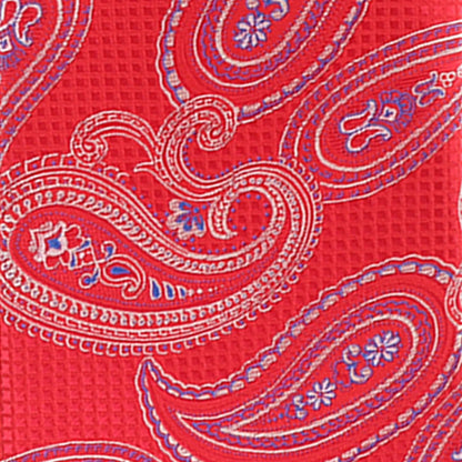 Vittorio Farina Men's Paisley Design Necktie & Pocket Square - D-1172 - Necktie & Pocket Square - Vittorio Farina
