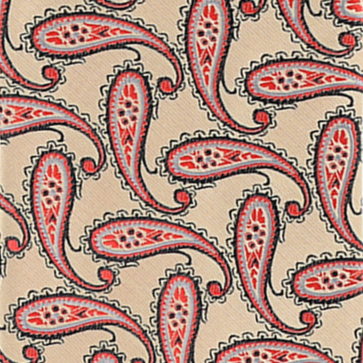 Vittorio Farina Men's Paisley Design Necktie & Pocket Square - D-1172 - Necktie & Pocket Square - Vittorio Farina