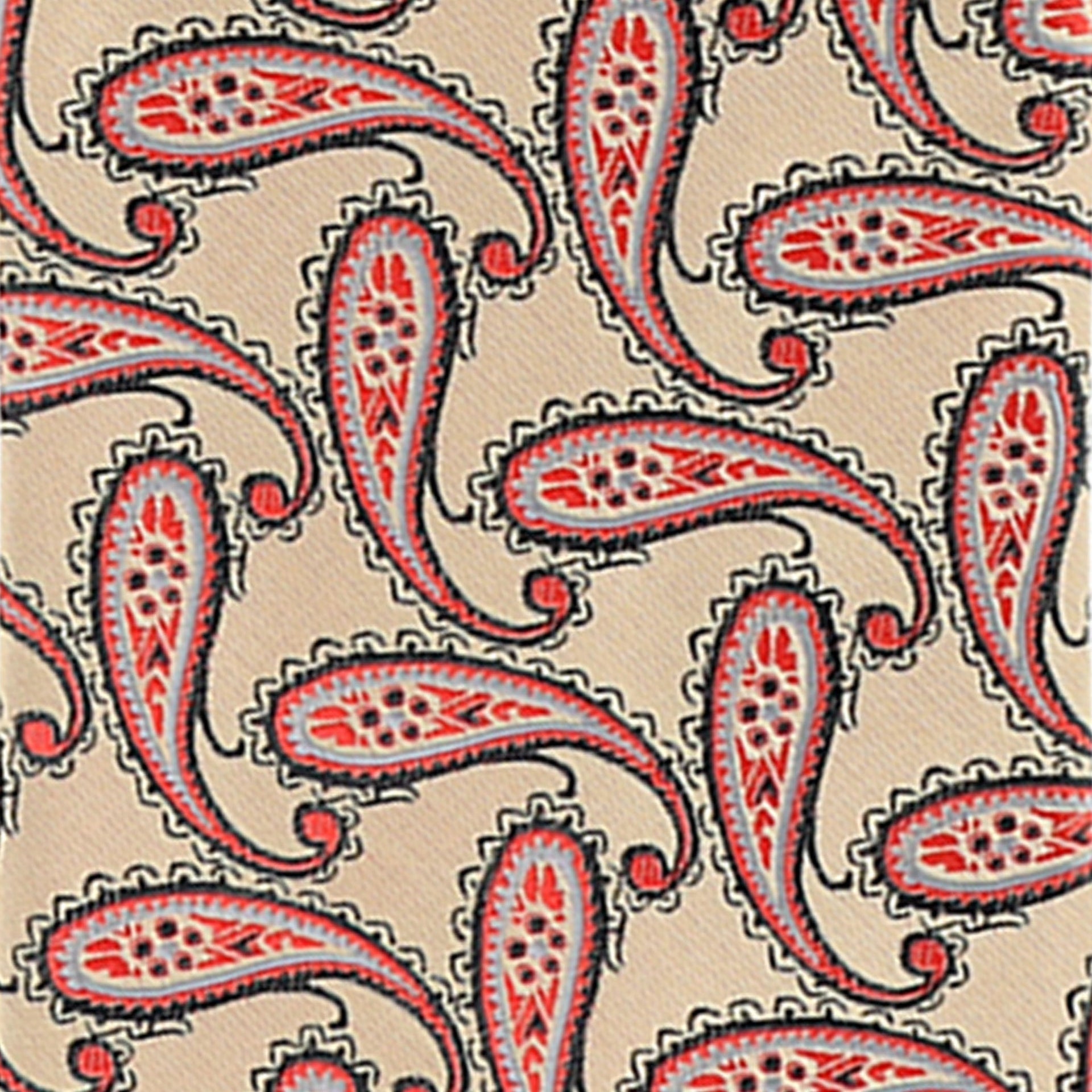 Vittorio Farina Men's Paisley Design Necktie & Pocket Square - D-1172 - Necktie & Pocket Square - Vittorio Farina