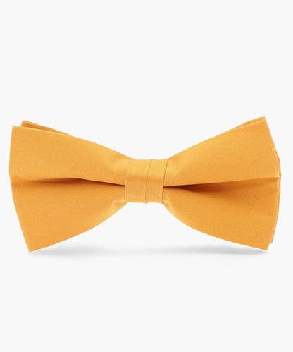 Vittorio Farina Men's Satin Bow Tie in Gift Box - Gold - Bow Tie - Vittorio Farina