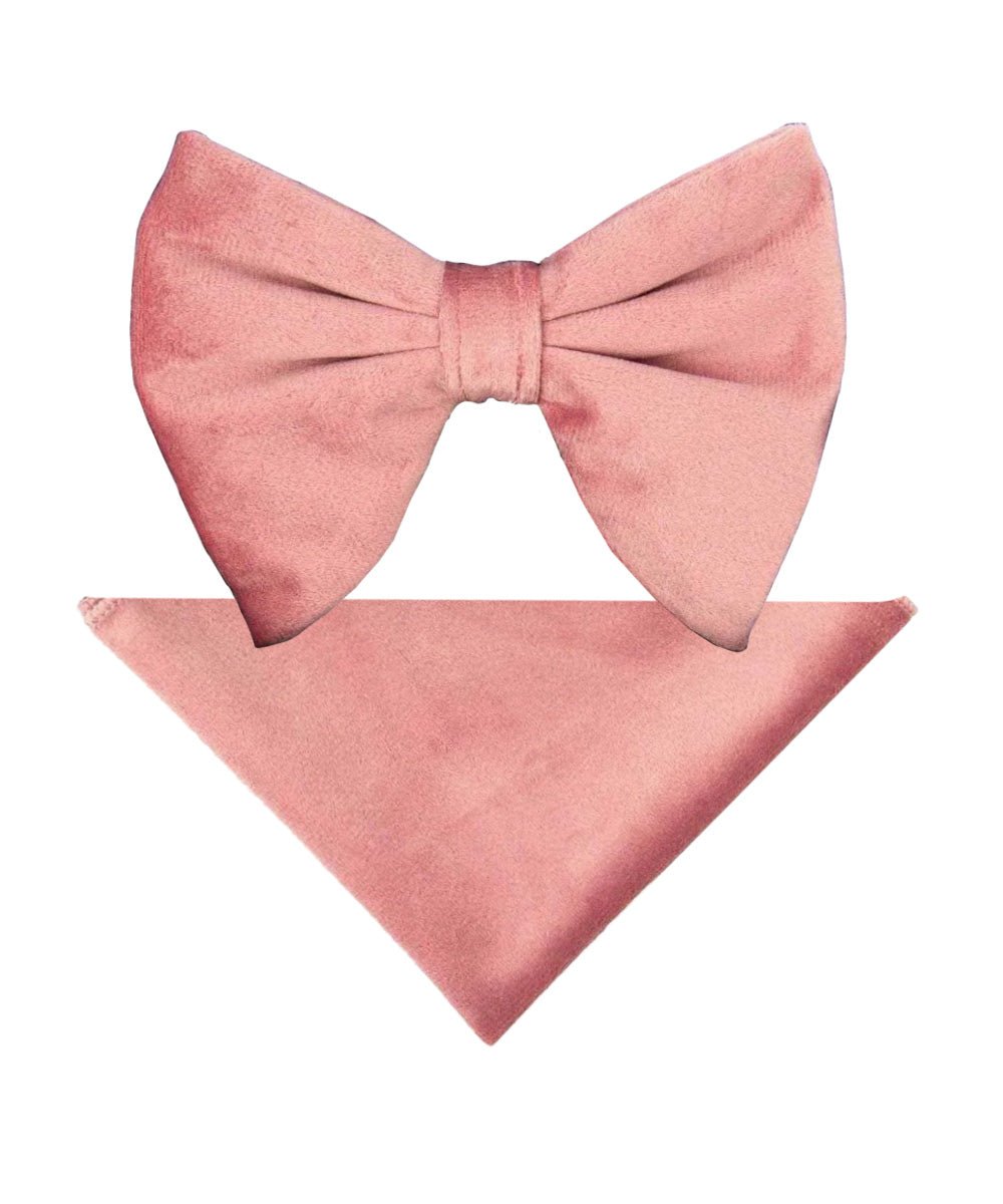 Vittorio Farina Men's Velvet Teardrop Bow Tie & Pocket Square in Gift Box - Blush - Bow Tie & Pocket Square - Vittorio Farina