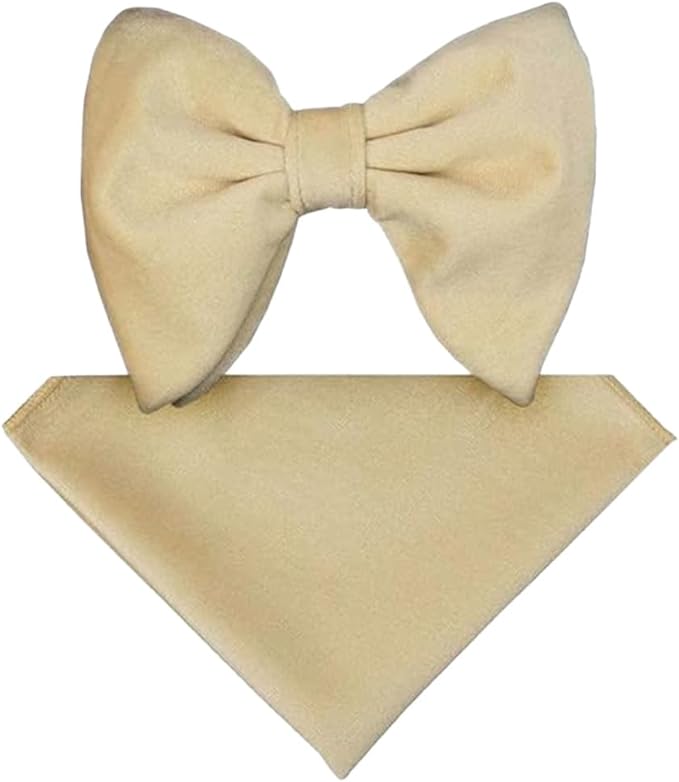 Vittorio Farina Men's Velvet Teardrop Bow Tie & Pocket Square in Gift Box - Ivory - Bow Tie & Pocket Square - Vittorio Farina