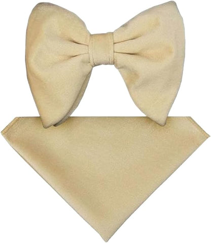 Vittorio Farina Men's Velvet Teardrop Bow Tie & Pocket Square in Gift Box - Ivory - Bow Tie & Pocket Square - Vittorio Farina