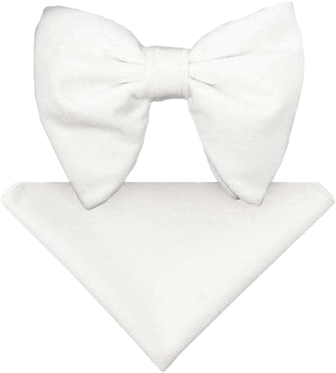 Vittorio Farina Men's Velvet Teardrop Bow Tie & Pocket Square in Gift Box - White - Bow Tie & Pocket Square - Vittorio Farina