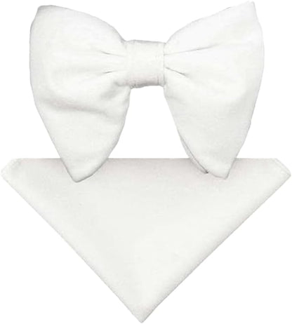 Vittorio Farina Men's Velvet Teardrop Bow Tie & Pocket Square in Gift Box - White - Bow Tie & Pocket Square - Vittorio Farina