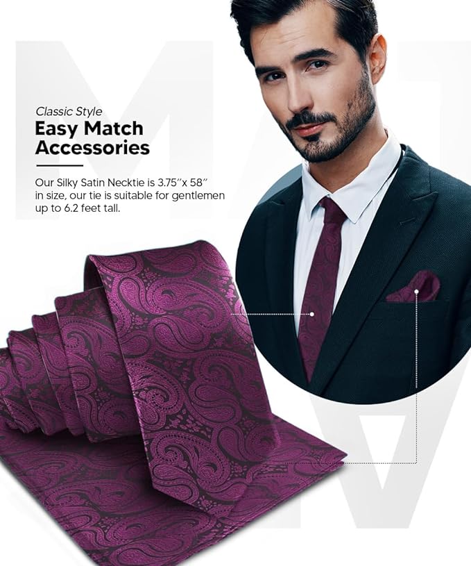 Vittorio Farina Men's Woven Paisley Necktie & Pocket Square - Plum - Necktie & Pocket Square - Vittorio Farina