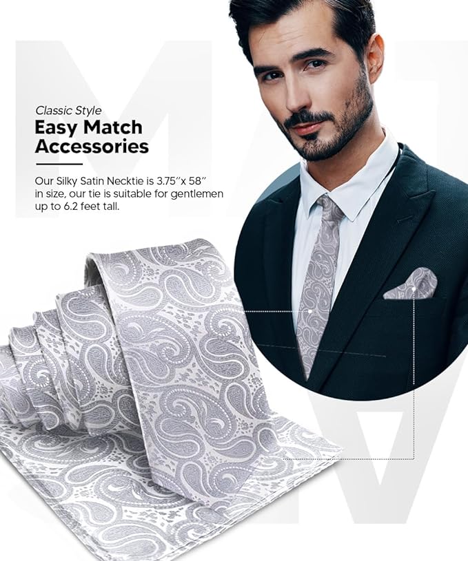 Vittorio Farina Men's Woven Paisley Necktie & Pocket Square - Silver - Necktie & Pocket Square - Vittorio Farina