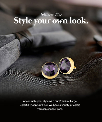 Vittorio Vico Large Colorful Tricep Colorstone Cufflinks: CL16XX Series - Purple and Gold - Cufflinks - Vittorio Vico